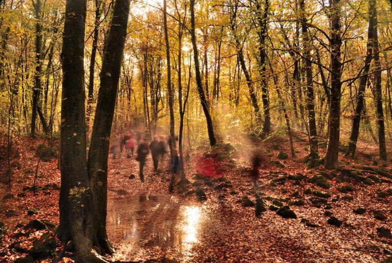 Allotjaments Rurals Can Pere Petit سانتا باو المظهر الخارجي الصورة
